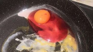 Huevo rojo